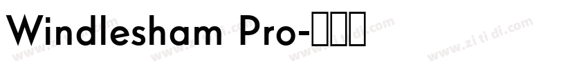 Windlesham Pro字体转换